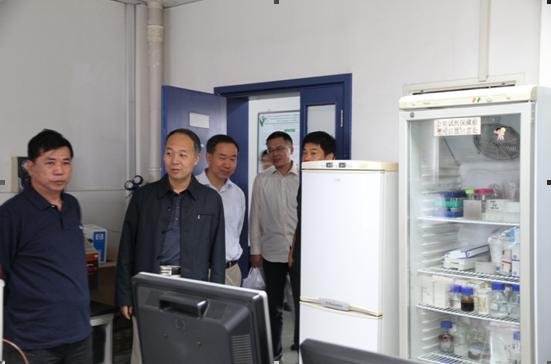 马司长调研.JPG 马司长调研.JPG