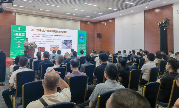 奶业协会02-所网正文.jpg